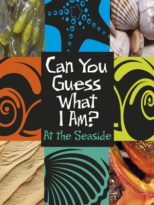 cover image of At the Seaside